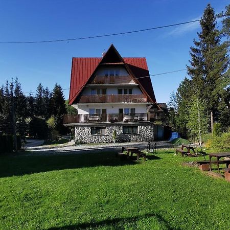 Willa Senator Zakopane Buitenkant foto