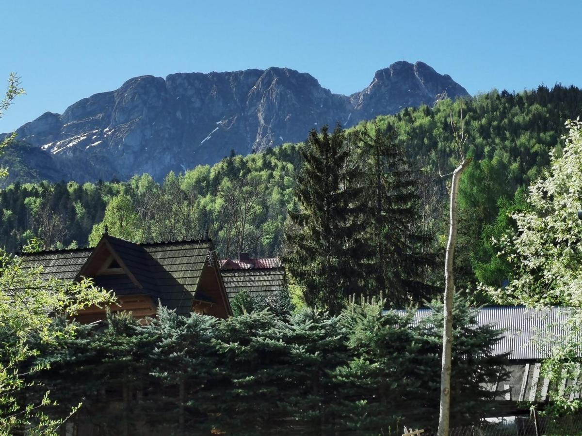 Willa Senator Zakopane Buitenkant foto