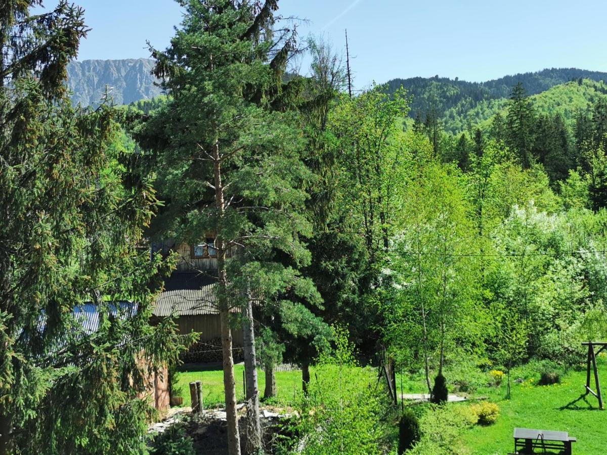 Willa Senator Zakopane Buitenkant foto